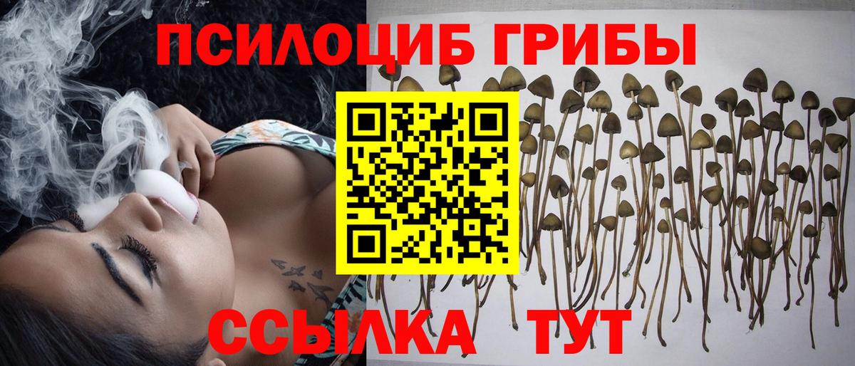 как найти закладки  Вход с VPN  Псилоцибиновые грибы Magic Shrooms  Коломна  Галлюциногенные грибы мухоморы 